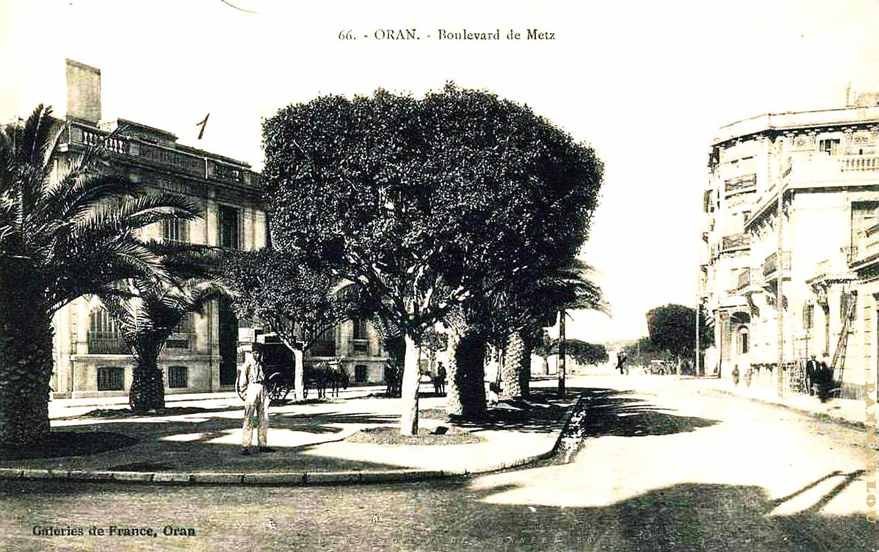 Oran - Boulevard de Metz   .jpg